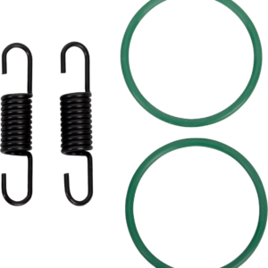 SPRING/ORING KIT RM250
