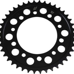 SPROCKET RR 520 42T