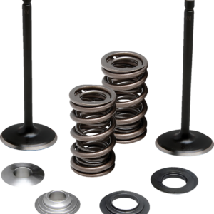 VALVE KIT EXHAUST YAM 700 MOOSE