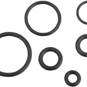O-RING KIT EFI FUEL LINE
