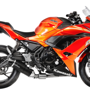 EXHAUST ONE EVO CF Z650