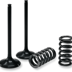 EXHAUST VALVE/SPRING KIT
